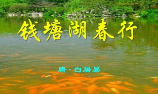 钱塘湖春行原文（钱塘湖春行原文及翻译）