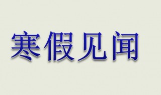 寒假见闻作文 寒假见闻作文450字