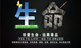 禁毒语句 禁毒语句20字