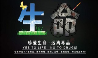 禁毒名句（禁毒名句书法）