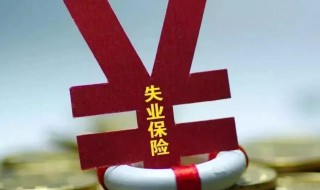 失业金领取条件是什么（失业金领取条件及标准百度百科）