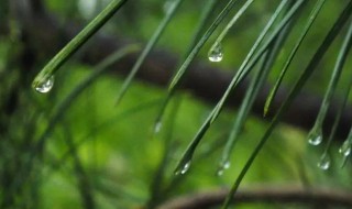 山雨的主要讲什么一句话概括 山雨的主要讲什么一句话概括一下