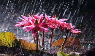 梅雨季节是几月份 北京梅雨季节是几月份