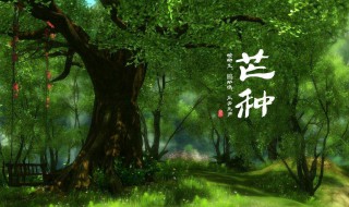 6月5日是什么节日（每月6月5日是什么节日）