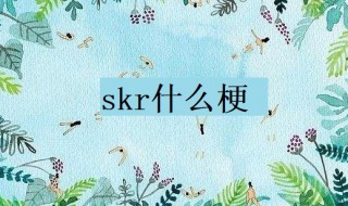 skr什么梗