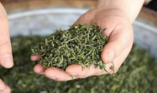 哪些茶叶是绿茶 哪些茶叶是绿茶?绿茶种类大全