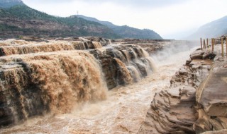 黄河流经山东哪几个地级市（黄河流经山东地市的先后顺序）