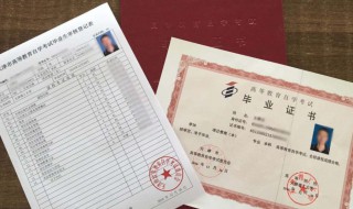 自考本科在学信网能查到吗（学信网为什么不承认开放大学）