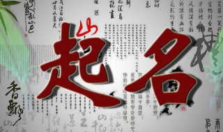 女生文艺名字 女生文艺名字两个字