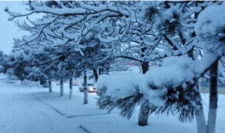 梦见下大雪是什么预兆（梦见下大雪是什么预兆女性解梦）