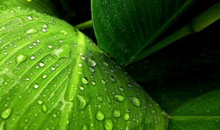 雨怎么形成的（暴风雨怎么形成的）