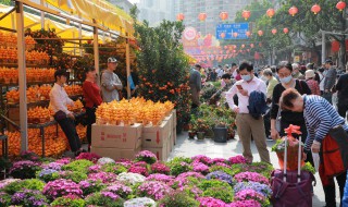 重庆五月赏花路线（重庆五月赏花路线图片）