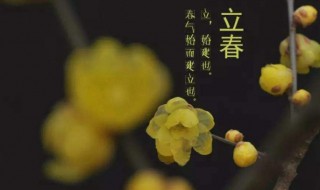 立春一日水暖三分节气谚语（立春一日水暖三分的意思是什么）