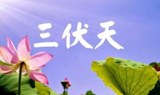 三伏天如何减肥（三伏天如何减肥最快）