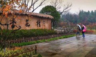 杏花村在哪 新疆杏花村在哪