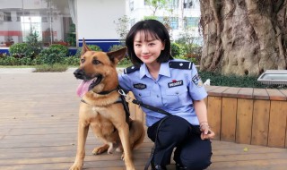 警花与警犬第二季什么时候播出（警花与警犬第二季什么时候播出揭晓）