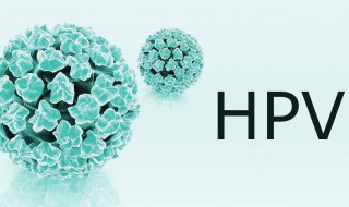 什么是hpv（什么是hpv是什么,有什么症状）