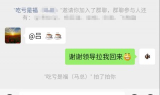 拍一拍的文案怎么设置 拍一拍的文案怎么设置内容