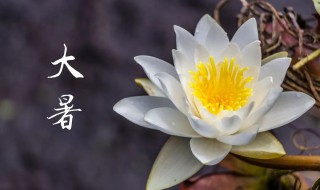 大暑天吃什么最好（大暑时节吃什么）