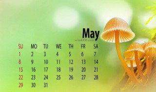 5月9日是什么日子 每年的5月9日是什么日子