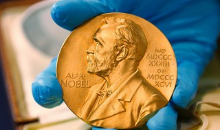 诺贝尔文学奖作品介绍(诺贝尔文学奖作品介绍ppt)