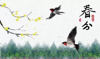 春分的古诗（二十四节气春分的古诗）
