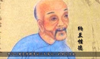 纳兰容若诗词（纳兰容若诗词全集原文）