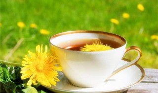 喝蒲公英水有什么好处 冬天可以喝蒲公英水有什么好处