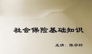 五险一金和社保有什么区别（五险一金和社保有什么区别怎么查询）