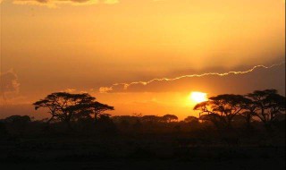 长河落日圆的上一句是什么 长河落日圆的上一句是什么诗