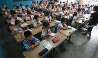 旁的部首是什么（旁的部首是什么部）