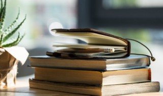 雷厉风行什么意思(雷厉风行什么意思啊?)