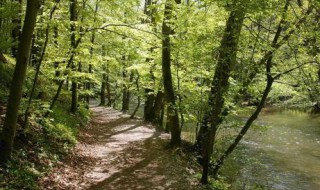 昊字五行属什么（昊字五行属什么名字）