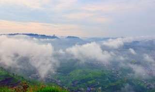 雾是什么 雾是什么物理现象