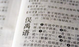 悦字五行属什么（悦字五行属什么寓意女孩名字）
