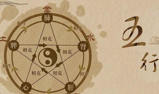 辰字五行属什么（辰字五行属什么属性）