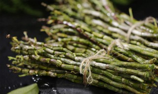 什么人不适合吃石斛 什么人不适合吃石斛 石斛的禁忌人群