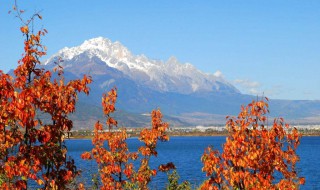 丽江旅游什么季节好（丽江旅游什么季节好玩）