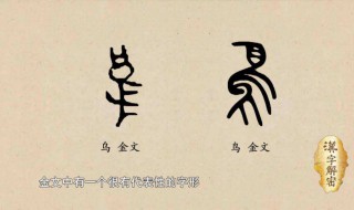 鸟字旁的字（鸟字旁的字100个字）