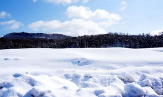 雪怎么形成的 雪怎么形成的过程图