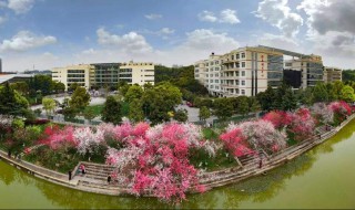 三峡大学怎么样 三峡大学怎么样张雪峰