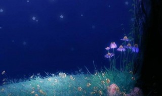 心情短语唯美 心情短语唯美10个字个性