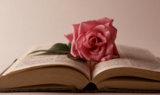 晒花的心情短语一句（晒花的心情短语一句话怎么说）