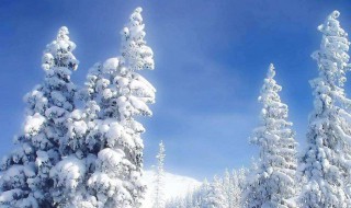 下雪说说心情短语（下雪说说心情短语精选）