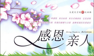 感恩亲人简短的句子 感恩亲人简短的句子100字