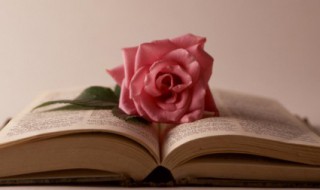 心情的说说心情短语 每天心情的说说心情短语