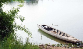 野渡无人舟自横的上一句是什么(野渡无人的野渡无人舟自横的上一句是什么)