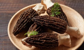鲜羊肚菌怎么吃（鲜羊肚菌怎么吃最好）