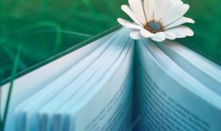 遍身罗绮者不是养蚕人是什么意思（遍身罗绮者不是养蚕人是什么古诗）