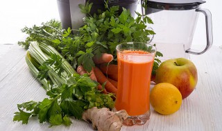 蔬菜汁的做法大全 冬天蔬菜汁的做法大全